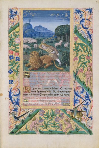 Ms Lat. Q.v.I.126 f.53 David défendant les moutons de son père contre un lion, du 